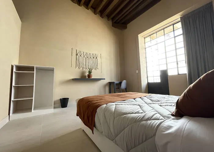 Colmena Cdmx Centro 3*