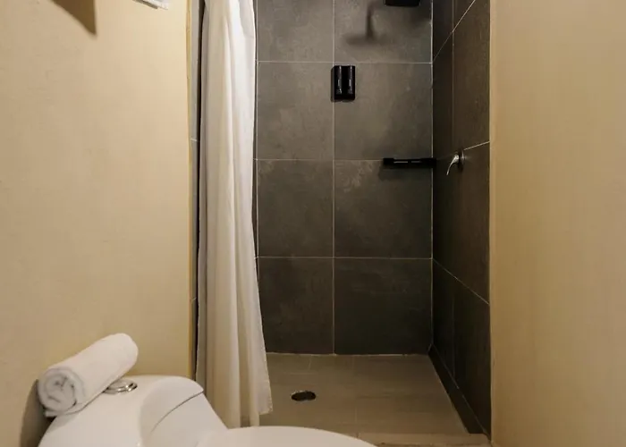 Colmena Cdmx Centro Hotel Mexico City